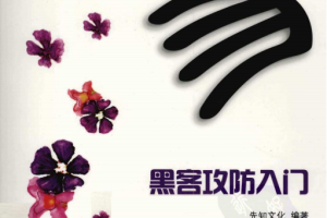 轻而易举 黑客攻防入门 PDF_黑客教程