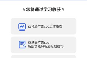 亚马逊如何快速有节奏打造爆款 高效广告投放方法,月销售额高达200万美金