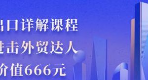 外贸出口详解课程：小白进击外贸达人，30节价值666元