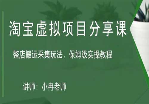 淘宝虚拟整店搬运采集玩法分享课：整店搬运采集玩法，保姆级实操教程插图