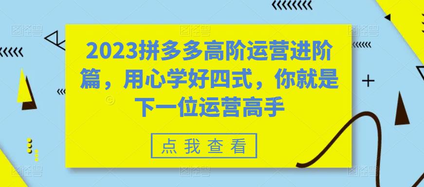 2023拼多多高阶运营进阶篇，用心学好四式，你就是下一位运营高手插图