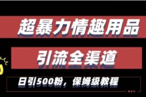 最新情趣项目引流全渠道，自带高流量，保姆级教程，轻松破百单，日引500+粉【揭秘】